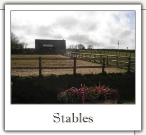 Stables
